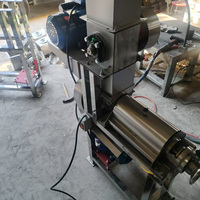 Multifunctionele mango fruitsap extractor, gember schroefpers sapcentrifuge, druiven schroefpers sapcentrifuge