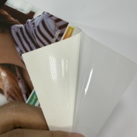 Película Autoadhesiva para Mascotas 100% Libre de Burbujas, Pósteres de Papel, Película Blanca Universal para Ventanas y Exhibición en Tiendas