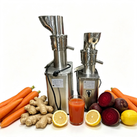 Grote Inlaat Commerciële Koudgeperste Sapcentrifuge, RVS 1500W Hoge Vermogen CE Gecertificeerd Hoge Opbrengst Fruit Groente