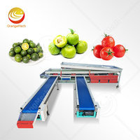 Machine de tri et de calibrage industrielle ORME pour olives, pommes de terre, citrons, fruits, tomates, lavage et tri