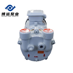 Pompe à vide à anneau liquide/eau horizontale BOYUAN 2BV2061, haute performance, économie d'énergie, personnalisable OEM, moteur triphasé - Product Image 6