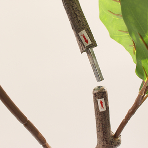 Ficus de feuille de violon artificiel Offre Spéciale de haute qualité avec Ficus de décoration intérieure et extérieure en pot - Product Image 3