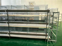 Cage à poulets de type H de grande taille à 96 places, à trois étages, quatre portes, nettoyage des excréments à manivelle, adaptée aux poulets pondeuses et à la volaille de chair