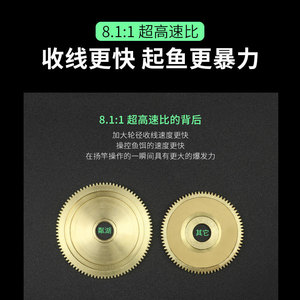 Moulinet de pêche à lancer 8.1:1 avec frein magnétique, pour droitier, idéal pour la pêche en mer et sur la plage - Product Image 5