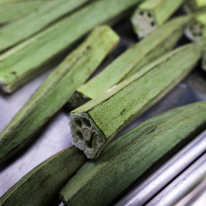 工場価格 4kg 真空凍結乾燥機 食品用 小型凍結乾燥機 家庭用 ハーベストライト凍結乾燥機 - Product Image 4