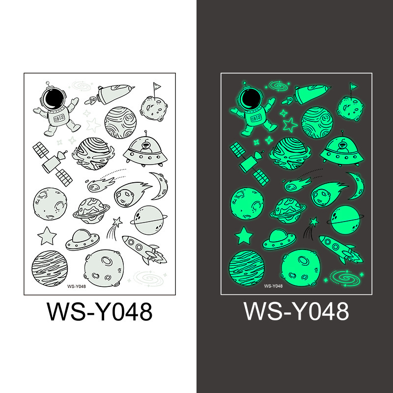 WS-Y048