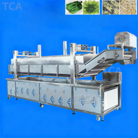 Frietjes Was-En Blancheermachine Voor De Groente-En Fruitverwerkende Industrie