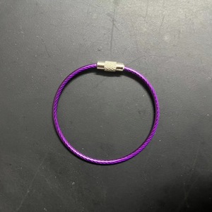 Bán Buôn Thép Không Gỉ Vòng 2Mm PVC Tráng Dây Vít Keychain Cáp Lớn Vòng Chìa Khóa 6 <span class=keywords><strong>Inch</strong></span> Móc Chìa Khóa Cho Hành Lý Thẻ Chìa Khóa - Product Image 5