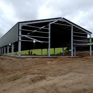 Coûts de construction de kits de bâtiments préfabriqués en acier pour entrepôts, ateliers et usines, résistants au vent, au Mexique - Product Image 6