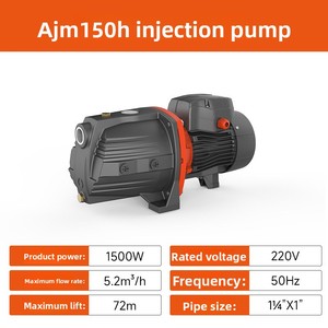 Pompe à jet auto-amorçante haute pression série <span class=keywords><strong>AJM</strong></span> 600W/750W 220V 50Hz avec moteur 1 an de garantie pour l'alimentation en eau domestique et l'irrigation des jardins - Product Image 2