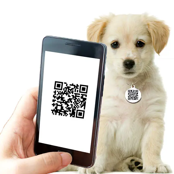 aangepaste logo gegraveerd huisdier id tag dog naamplaatjes