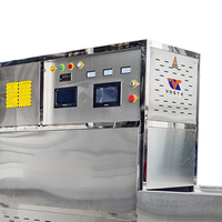 Máquina Automática Industrial de Secado de Camarones por Microondas, Deshidratador de Mariscos Tipo Túnel para el Procesamiento de Langostinos y Cangrejos Secos