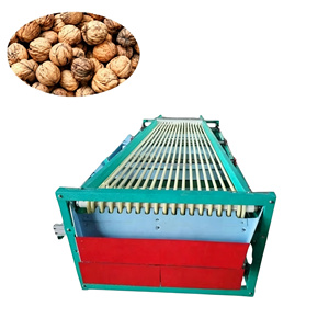 Machine de tri et de calibrage pour tomates, fruits de la passion, maybush, haw, pommes et poires - Product Image 3