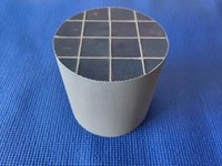 Filtro Antiparticolato Catalitico DPF in Ceramica di Alta Qualità per Diesel