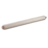 Cartouche filtrante en membrane PTFE hydrophobe 0,22 µm abordable, filtre de ventilation économique 10 pouces pour réservoirs ou air de processus basique