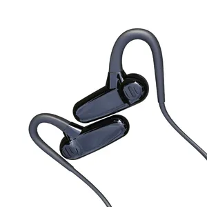 SM508 Sport Hoofdtelefoon, Continu Spelen 10H, Anti-Drop Hoofdtelefoon, ingebouwde 16G Geheugen-Vier Kleuren