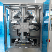 Machine d'emballage de sauce grande capacité 1000-5000 ml, machine de remplissage et d'emballage pour ketchup, salade, moutarde et pâtes