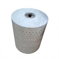 Bande de collecte d'œufs perforée en PP, bande à perforations pour œufs, bande de collecte d'œufs blanche perforée, 1,2 mm, 100 mm de large