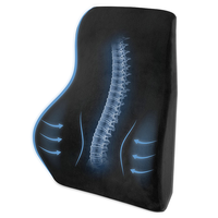 Coussin de dossier pliable, pour soulager la douleur, en mousse à mémoire de forme, Support lombaire, pour chaise arrière