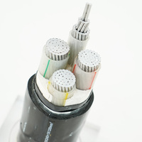 Fabrik preis Stromkabel Mittels pannung 4-adrig 16mm 25mm 35mm 50mm 70mm Aluminium leiter PVC/XLPE-isoliertes elektrisches Kabel