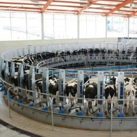 Système d'équipement d'allaitement rotatif pour vaches, carrousel, machine à traire, pour plusieurs vaches, gain de temps