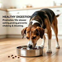 Bouteille d'eau portable automatique en acier inoxydable de haute qualité avec distributeur de nourriture lente et protège-cou pour chiens
