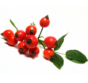 Extracto de <span class=keywords><strong>Rosa</strong></span> Mosqueta en Polvo, Extracto de Fruta de <span class=keywords><strong>Rosa</strong></span> Mosqueta, Extracto de Fructus Rosae en Polvo con Precio al por Mayor en Barril/Bolsa - Product Image 3