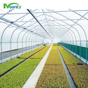 Túnel de un solo tramo de invernadero agrícola para cultivo de vegetales/Cultivos/<span class=keywords><strong>hierbas</strong></span>/lechugas/tomates/Flores/arándanos en zona tropical - Product Image 6