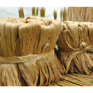 Hilos de Fibra Natural de Yute, Cañas Tejidas, Suministros para Manualidades, Tejido Artesanal, Fabricación de Cestas, Decoración Hecha a Mano, Exportación a Granel, Venta al por Mayor - Product Image 4