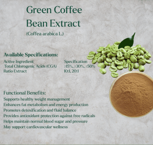Extracto de Granos de Café Verde Orgánico en Polvo, 50% de Ácido Clorogénico, Venta Caliente - Product Image 4