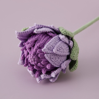 Tige de Protea en amigurumi faite à la main, couleur pastel douce, fleur élégante et minimaliste, cadeau pour la décoration de vase et de bouquet
