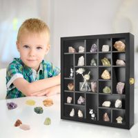 Vitrine en bois avec couvercle en verre pour collection de minéraux, fossiles et cristaux