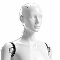 Servicio de Prototipado Rápido Personalizado OEM ODM, Prototipo de Carcasa de Robot Humanoide, Plástico ABS PC, Fresado CNC, Impresión 3D SLA