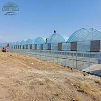 Projet de serre commerciale en Géorgie pour la culture des fraises