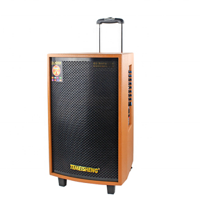 Subwoofer de alta potencia profesional, caja de sonido Dsp, juegos de Karaoke inalámbricos, Bt, Tws, sistema de altavoces Dj/ Pa, Bocina - Product Image 2