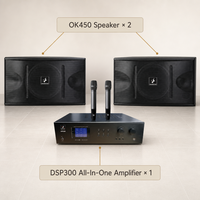 Système audio pour la maison NEARSTAR, ensemble de karaoké OK450 avec enceintes DSP300, amplificateur tout-en-un, système sonore pour salon