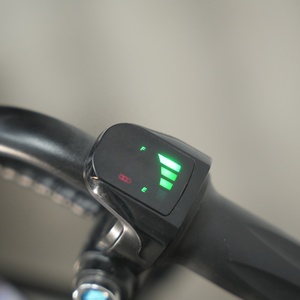 Scooters à moteur à 2 roues en acier pour enfants de 6 à 12 ans, personnalisés pour l'UE, 250W - Product Image 2