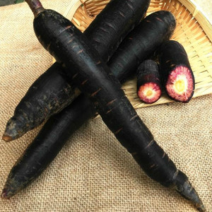 Yüksek kaliteli GMP standart antosiyanin antosiyanidin gıda sınıfı siyah havuç ekstresi tozu formu meyve parçası kullanılan su UV davul - Product Image 3