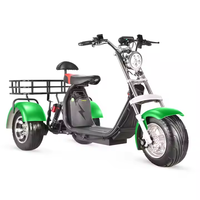 Triciclo Eléctrico Citycoco de 3 Ruedas para Adultos, Scooter Eléctrico de 3000W/2000W, Triciclo Eléctrico de 2000W