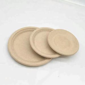 Assiette Écologique Compostable en Bagasse de Canne à Sucre Jetable pour Événements Festifs et Anniversaires (Vente en Gros) - Product Image 2