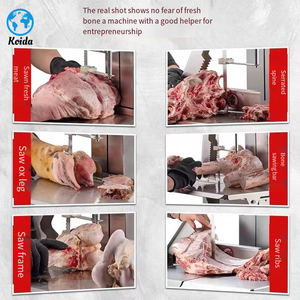 Koida Commerciële Elektrische Steak Bone Band Zaagsnijder Nieuwe Staat Machine Voor Meelmolen Bakkerij Kruiden Plant Boerderij Industrie - Product Image 4