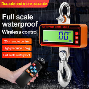 <span class=keywords><strong>GYS</strong></span> Mise à niveau de la balance suspendue électronique entièrement étanche pour les travaux lourds - Product Image 2