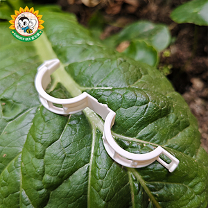 Clip di Supporto <span class=keywords><strong>per</strong></span> Piante Biodegradabile Bianca <span class=keywords><strong>per</strong></span> Giardinaggio Quotidiano, Strumento di Addestramento <span class=keywords><strong>per</strong></span> Vivai - Product Image 1