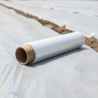 Film de paillage PE transparent perforé, résistant aux UV, durable, blanc, pour la culture précoce des cultures, réchauffement du sol agricole