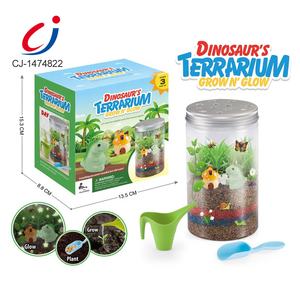 Kit terrario Dinosaur Kids Plant grow Kit bambini scienza giocattoli educativi Mini giardino - Product Image 1