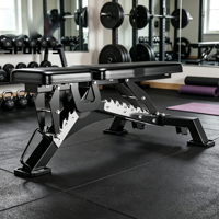DW SPORTS Nouvel équipement de musculation, banc de musculation réglable en acier pour la maison, stable et sûr, pour la musculation et unisexe
