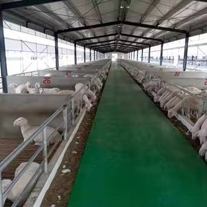 Casas mini casa de calidad profesional superior almacén prefabricado - Product Image 3