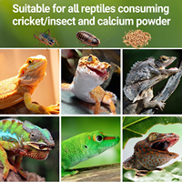 REPTI ZOO Distributeur de poudre de calcium pour reptiles avec logo personnalisé, mélangeur et agitateur en acrylique avec couvercle à verrouillage rotatif pour dragon barbu, gecko, lézard