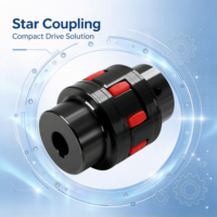 Accouplement flexible en acier de type GR Star à haute vitesse SFS avec coussin élastique, certifié UE, garantie 1 an