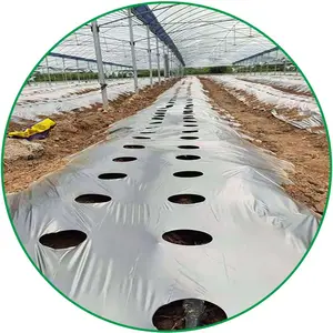 Factory Direct Supply 1.0 Mil Plastic Mulch Film Agriculture Plastic Black And Silver Mulch Film With Holes For Strawberry Crops
